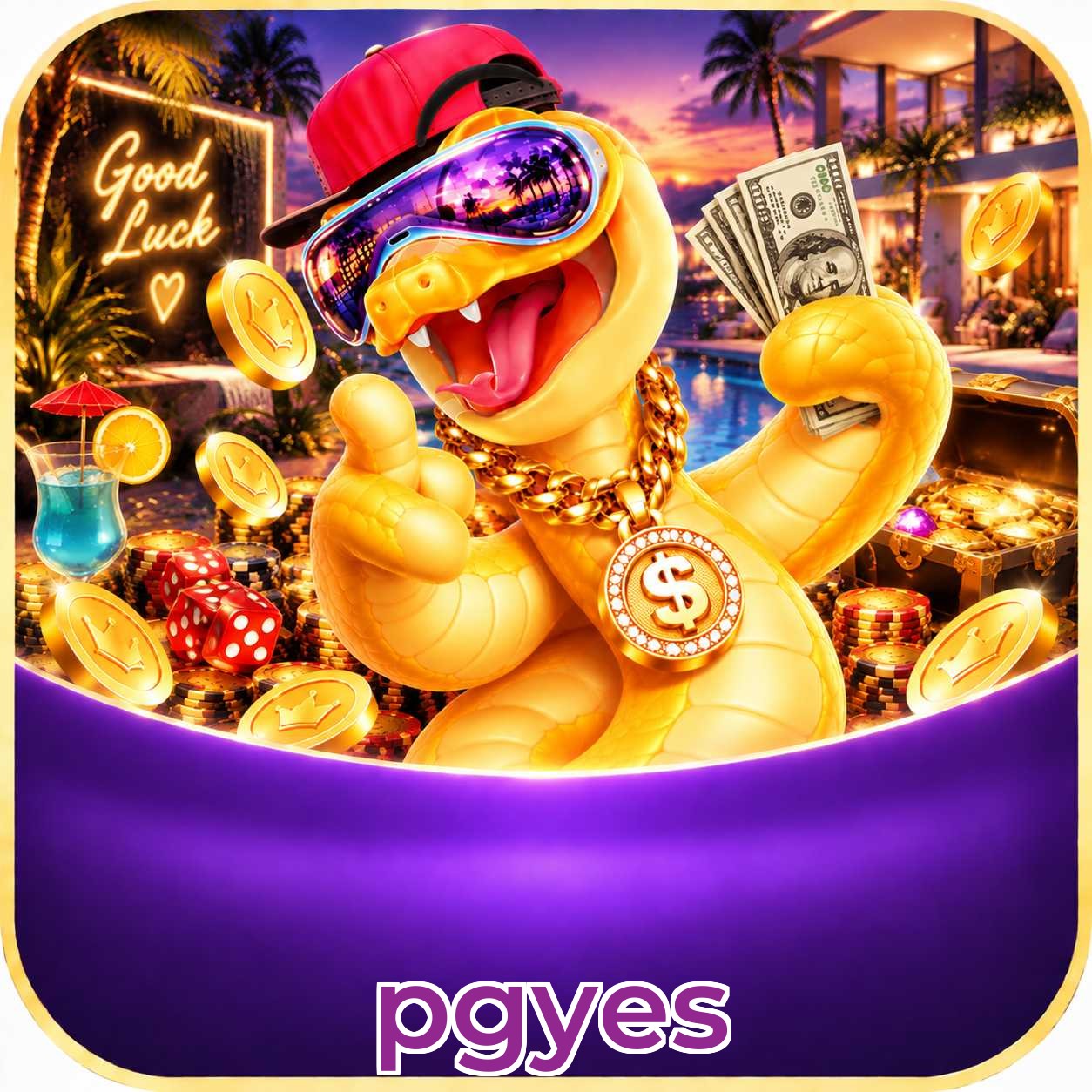 pgyes App Features