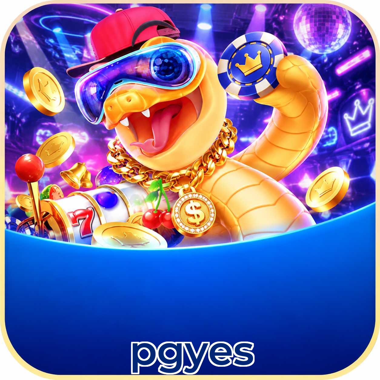pgyes System Requirements